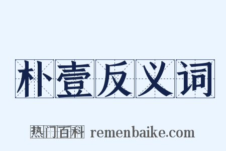 朴壹反义词是什么意思的图片